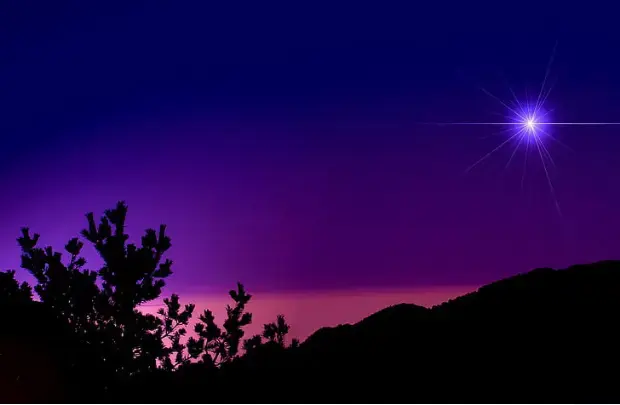 purple star