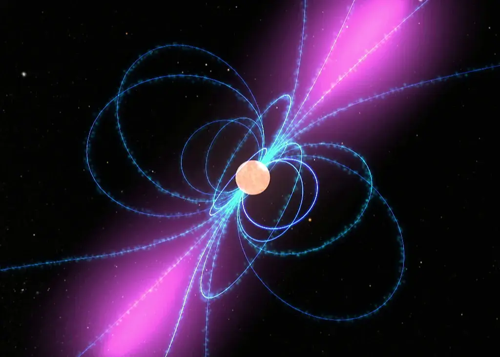 Pulsar with Magnetic Field Lines