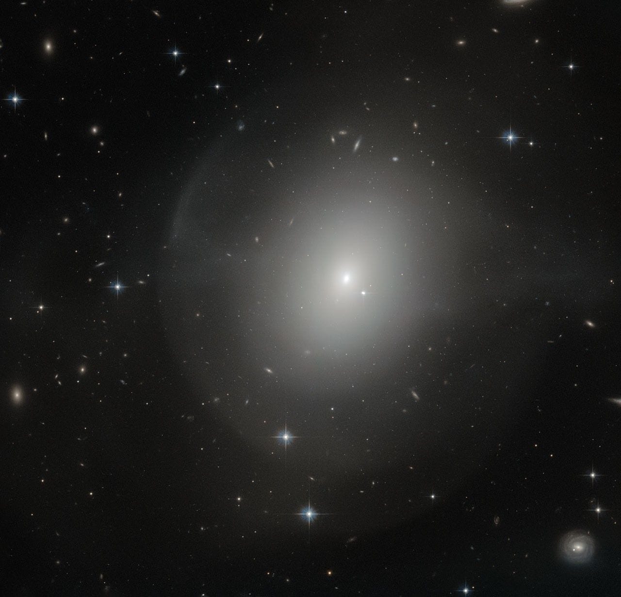 elliptical galaxy ngc 2865