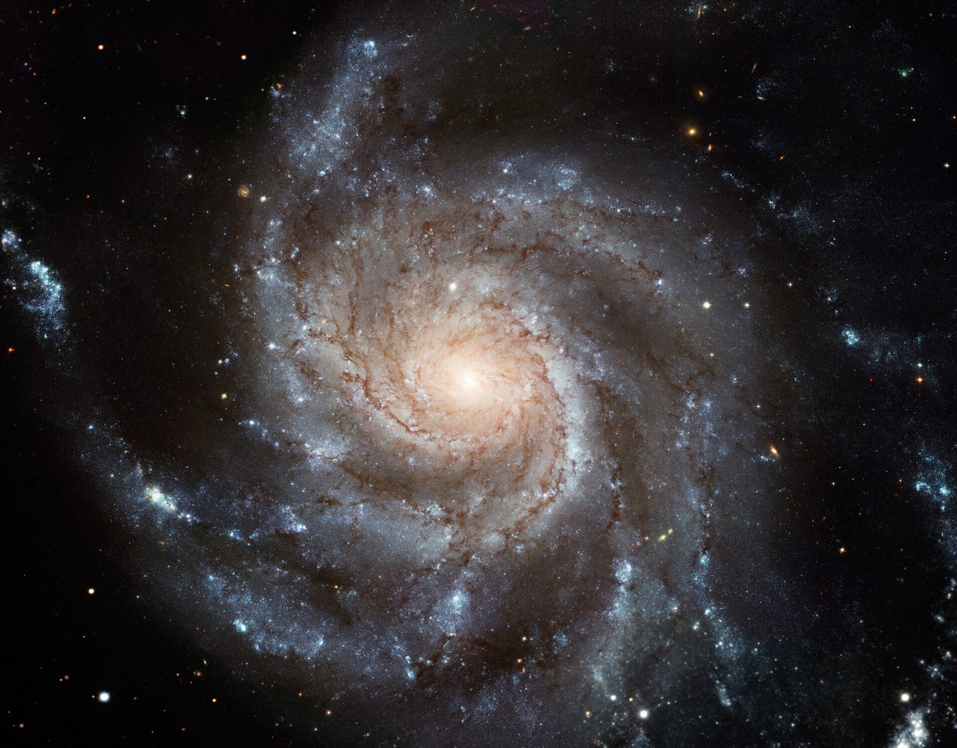 galaxy m101 new jpg