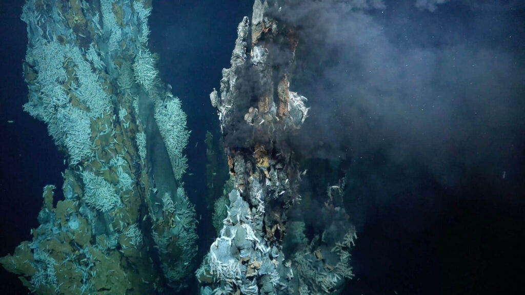 newly discovered hydrothermal vent field on puy des folles seamount in the mid atlantic ridge